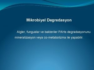 Mikrobiyel Degredasyon Algler funguslar ve bakteriler PAHs degradasyonunu