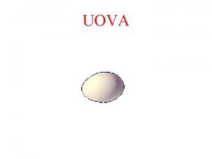 Uova