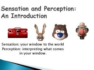 Sensation and Perception An Introduction Sensation your window