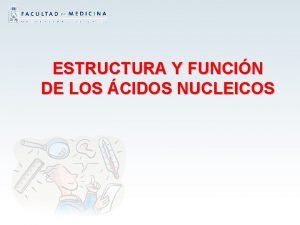 ESTRUCTURA Y FUNCIN DE LOS CIDOS NUCLEICOS cidos