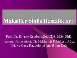 Maksiller Sins Hastalklar Prof Dr Kvan Kamburolu DDS