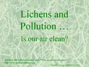Lichens and Pollution Is our air clean Activities