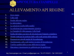 APICOLTURA CIAMPELLI ALLEVAMENTO API REGINE 1 2 3