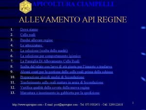 Apicoltura ciampelli