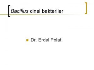 Bacillus cinsi bakteriler n Dr Erdal Polat Bacillus