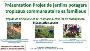 Prsentation Projet de jardins potagers tropicaux communautaire et