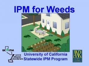 IPM for Weeds University of California Statewide IPM