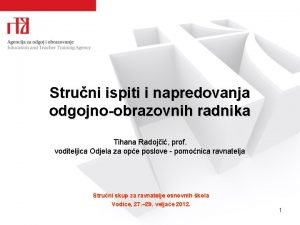 Struni ispiti i napredovanja odgojnoobrazovnih radnika Tihana Radoji