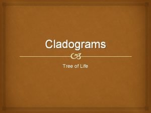Cladograms Tree of Life Cladogram Pictorial representation of