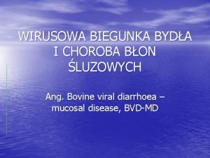 WIRUSOWA BIEGUNKA BYDA I CHOROBA BON LUZOWYCH Ang