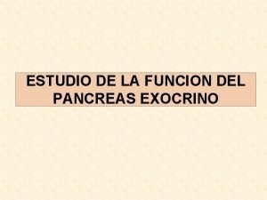 ESTUDIO DE LA FUNCION DEL PANCREAS EXOCRINO Funciones