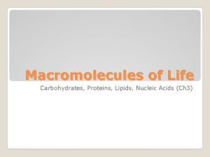 Monomer of dna Monomer of dna