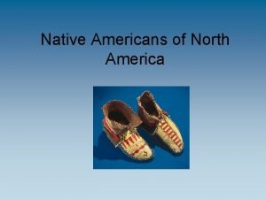 What did the iroquois live in
