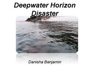 Deepwater Horizon Disaster Danisha Benjamin Table Of Contents