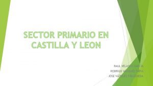 SECTOR PRIMARIO EN CASTILLA Y LEON RAUL VELASCO