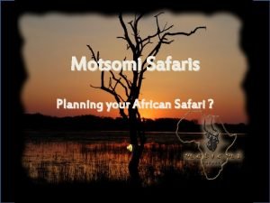 Motsomi safaris price list