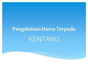 Pengelolaan Hama Terpadu KENTANG KENTANG OPT Sebagai sayuran