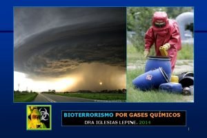 BIOTERRORISMO POR GASES QUMICOS DRA IGLESIAS LEPINE 2014