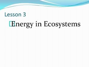 Energy in ecosystems lesson 3 answer key