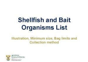 Shellfish and Bait Organisms List Illustration Minimum size
