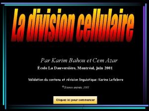 Par Karim Bahou et Cem Azar cole La