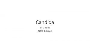 Candida Dr D Kalita AIIMS Rishikesh Introduction 4