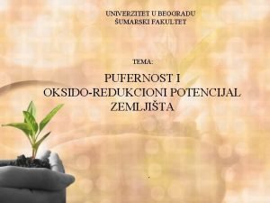 UNIVERZITET U BEOGRADU UMARSKI FAKULTET TEMA PUFERNOST I