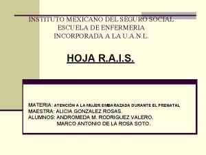 Hoja raiz de enfermeria