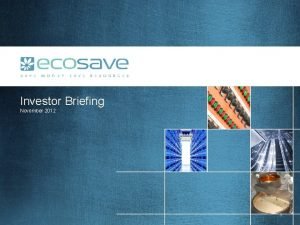 Ecosave holdings limited