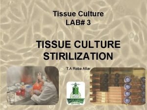 Tissue Culture LAB 3 TISSUE CULTURE STIRILIZATION T