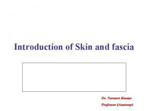 Difference between superficial and deep fascia