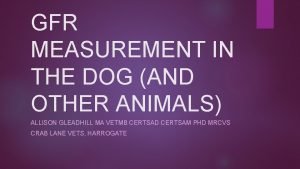 GFR MEASUREMENT IN THE DOG AND OTHER ANIMALS