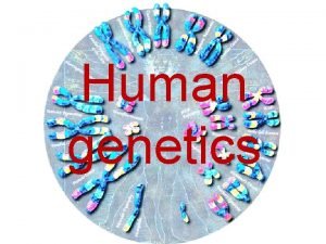 Human genetics Human genetics Lectures 17 x 2