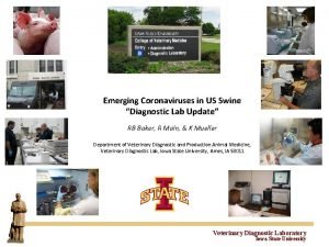 Emerging Coronaviruses in US Swine Diagnostic Lab Update