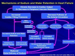 Pathophysiology of sodium and water retention