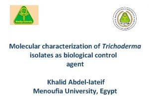 Molecular characterization of Trichoderma isolates as biological control