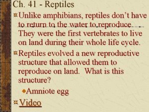 Unlike amphibians reptiles