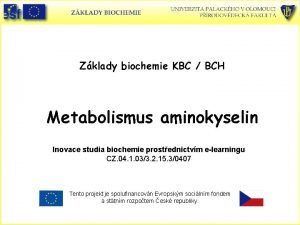 Zklady biochemie KBC BCH Metabolismus aminokyselin Inovace studia