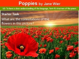 Poppies by Jane Wier LO To have a