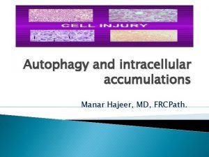 Autophagy and intracellular accumulations Manar Hajeer MD FRCPath