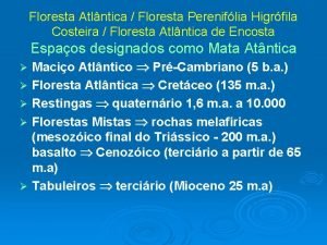 Floresta perenifólia