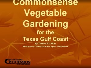 Gulf coast vegetable gardening