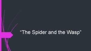 Why is the spider and the wasp an expository essay