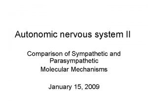 Autonomic nervous system II Comparison of Sympathetic and