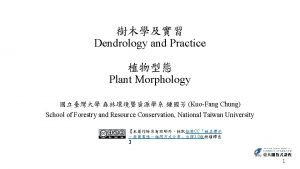 Dendrology and Practice Plant Morphology KuoFang Chung School