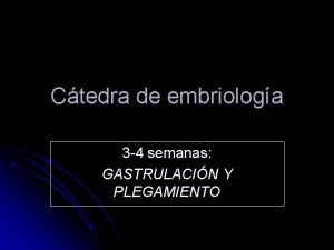 Ctedra de embriologa 3 4 semanas GASTRULACIN Y