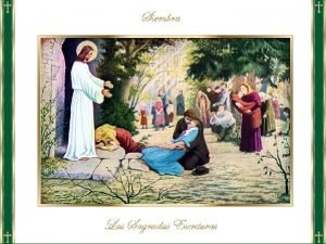 Domingo xiv del tiempo ordinario ciclo b