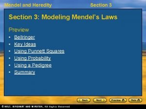 Section 3 mendel and heredity