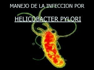 MANEJO DE LA INFECCION POR HELICOBACTER PYLORI INTRODUCCION