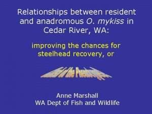 Relationships between resident and anadromous O mykiss in